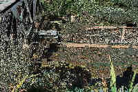 Click for a better view of this transport graphic