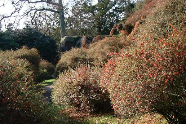 Wakehurst Place