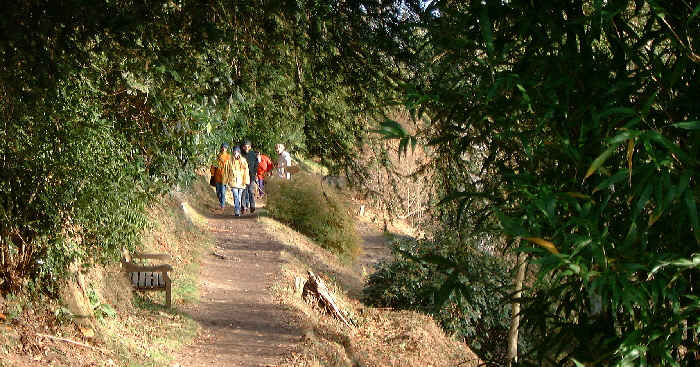 Wakehurst Place