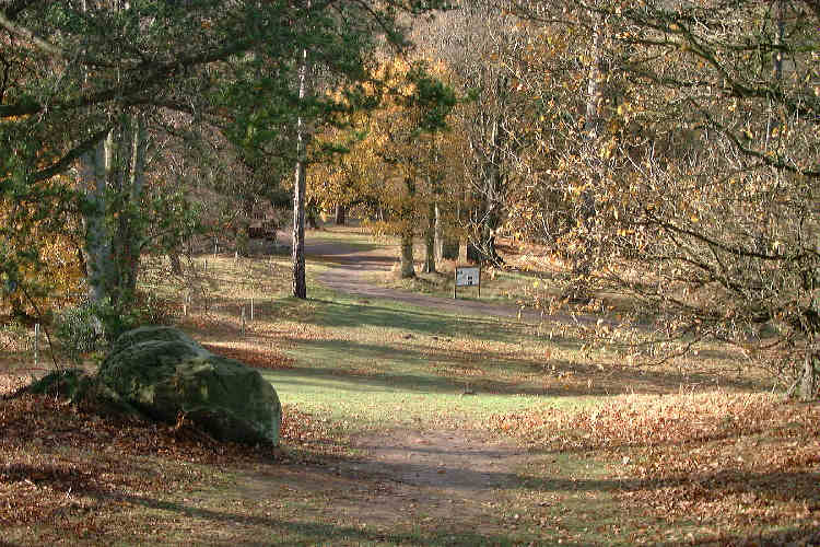 Wakehurst Place