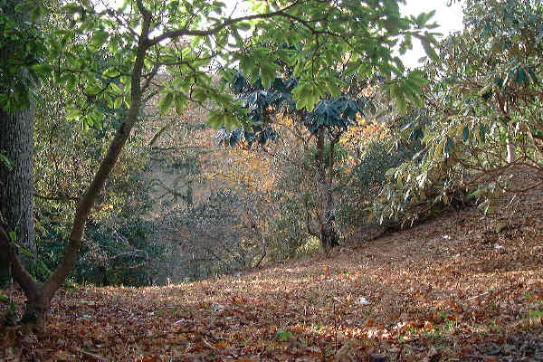 Wakehurst Place