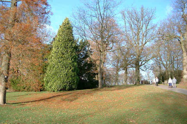 Wakehurst Place