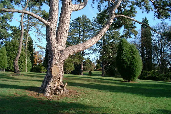 Wakehurst Place