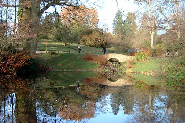 There are lots more fantastic views like this one at wakehurst