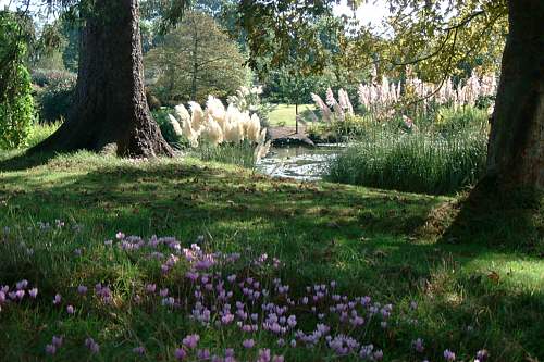 There are lots more fantastic views like this one at Wakehurst