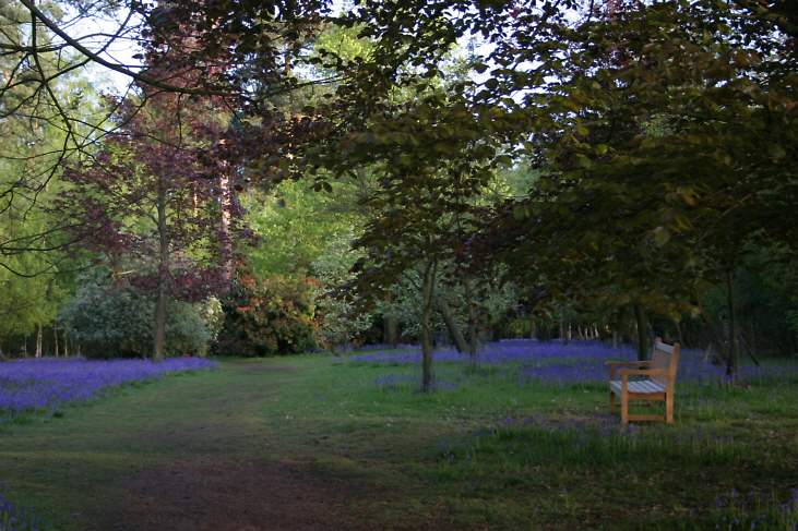 Winkworth Arboretum - gardens in spring