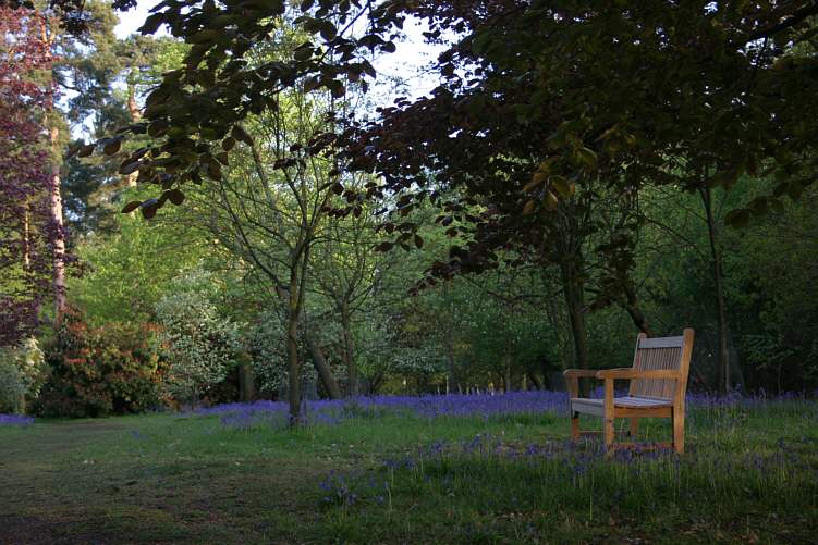 Winkworth Arboretum - gardens in spring