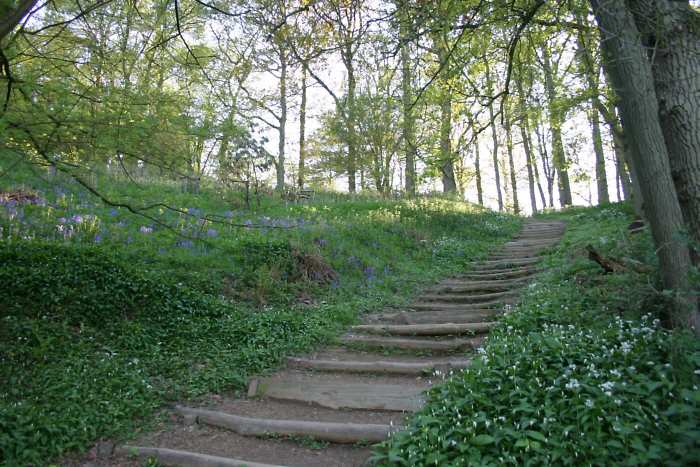 Winkworth Arboretum - gardens in spring