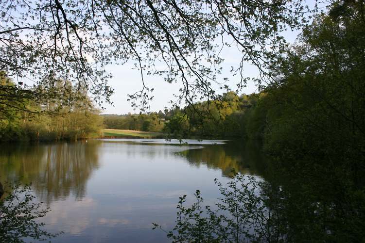 Winkworth Arboretum - gardens in spring
