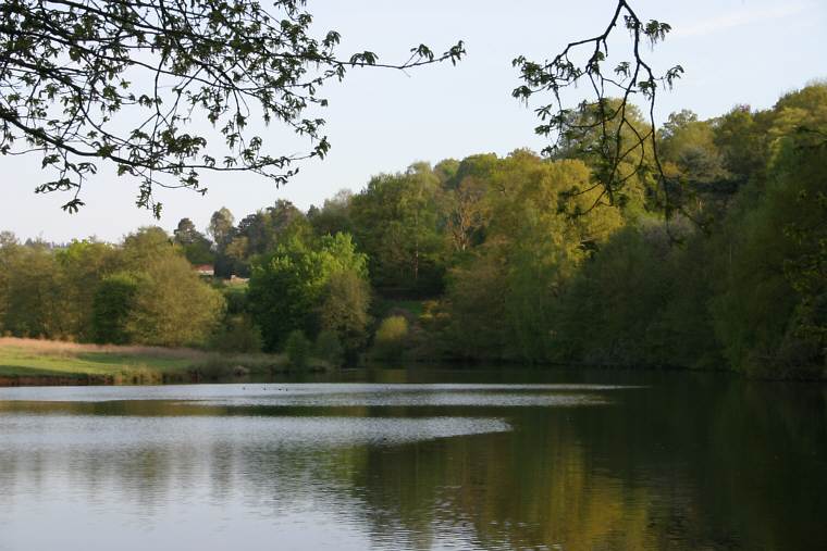 Winkworth Arboretum - gardens in spring